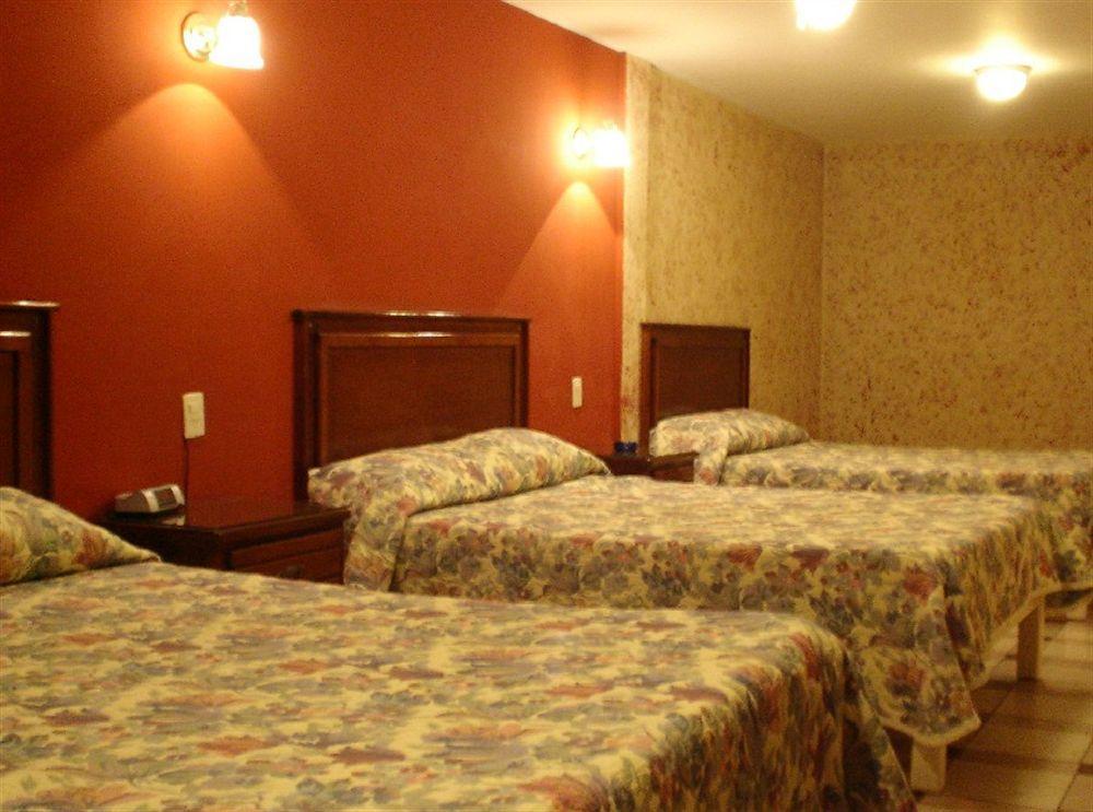 Hotel San Luis San Luis Potosi Ngoại thất bức ảnh