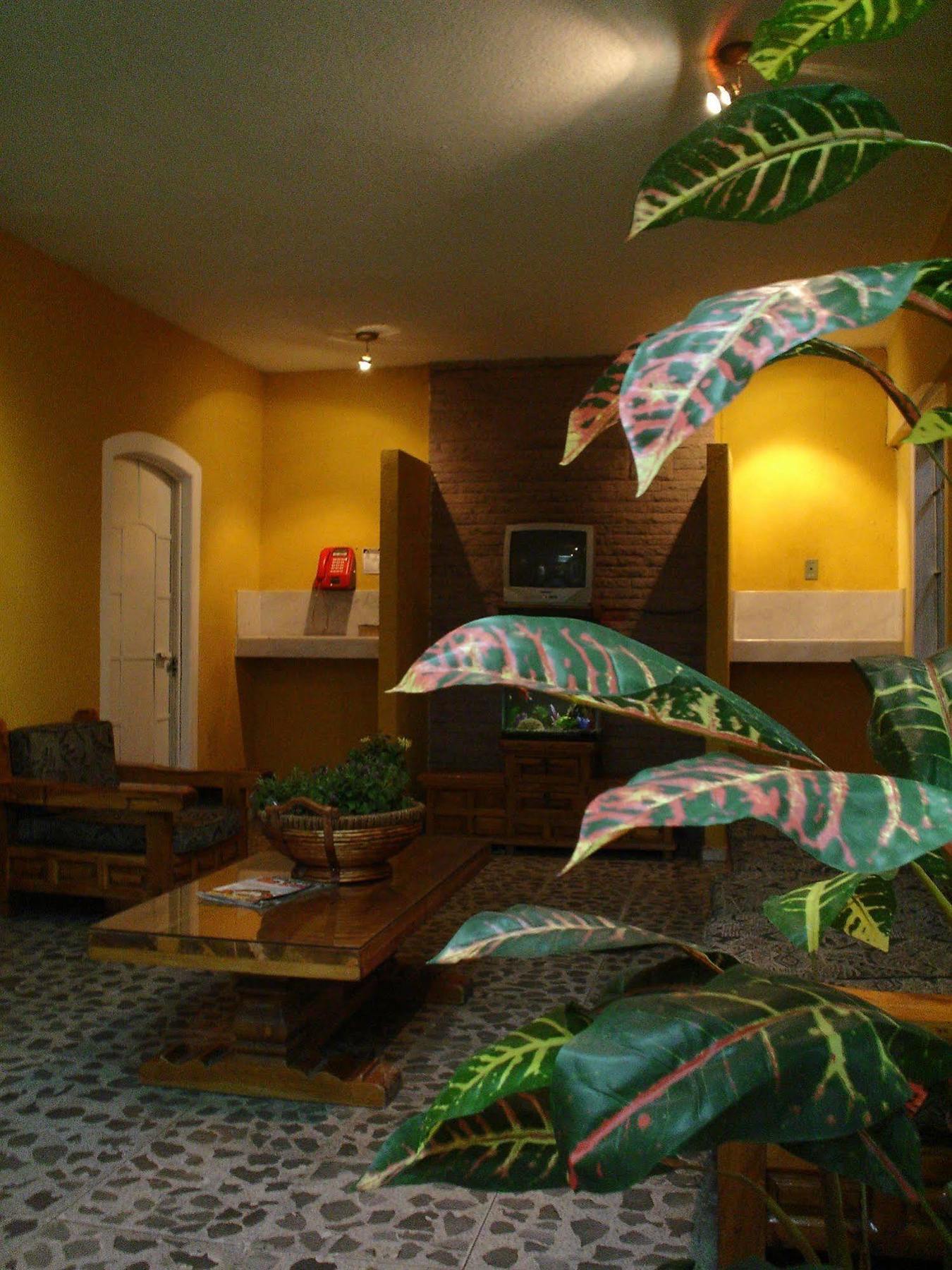 Hotel San Luis San Luis Potosi Ngoại thất bức ảnh